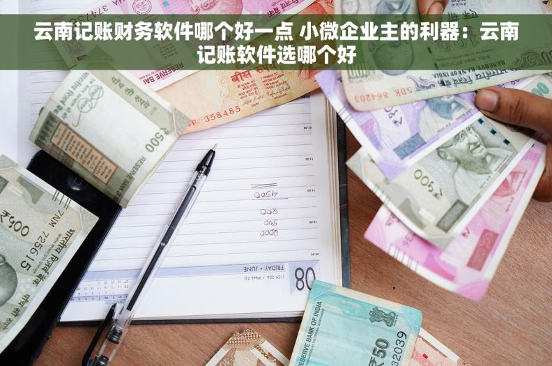 云南记账财务软件哪个好一点 小微企业主的利器:云南记账软件选哪个好 云南记账财务软件哪个好一点 小微企业主的利器:云南记账软件选哪个好