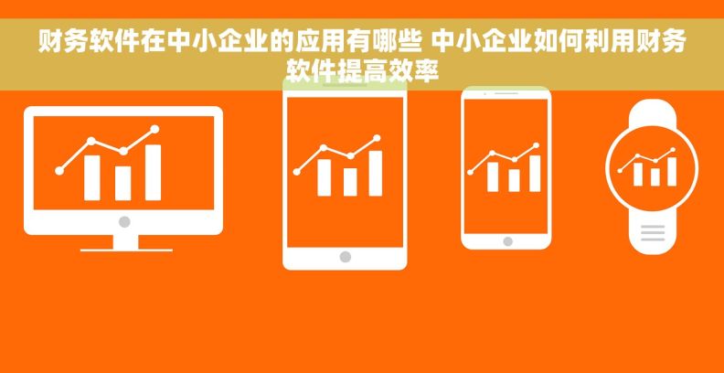 财务软件在中小企业的应用有哪些 中小企业如何利用财务软件提高效率 财务软件在中小企业的应用有哪些 中小企业如何利用财务软件提高效率