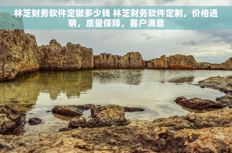林芝财务软件定做多少钱 林芝财务软件定制，价格透明，质量保障，客户满意