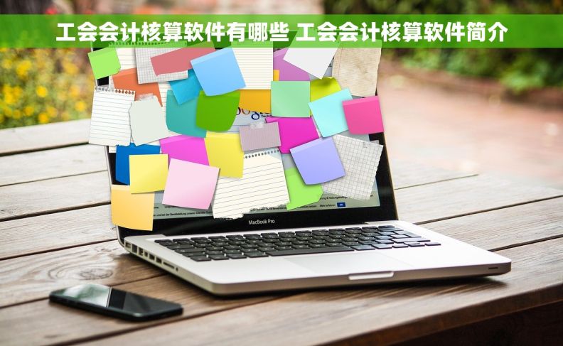工会会计核算软件有哪些 工会会计核算软件简介 工会会计核算软件有哪些 工会会计核算软件简介