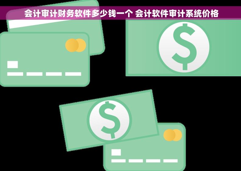  会计审计财务软件多少钱一个 会计软件审计系统价格