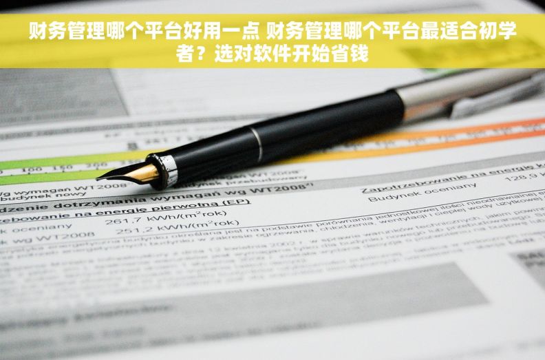 财务管理哪个平台好用一点 财务管理哪个平台最适合初学者？选对软件开始省钱