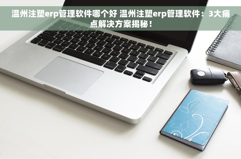 温州注塑erp管理软件哪个好 温州注塑erp管理软件：3大痛点解决方案揭秘！