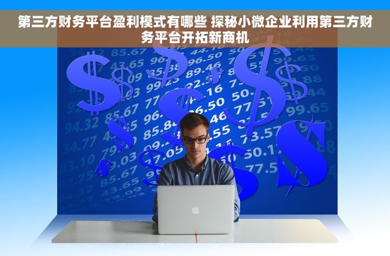 第三方财务平台盈利模式有哪些 探秘小微企业利用第三方财务平台开拓新商机