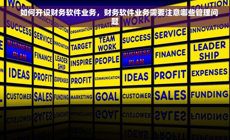     如何开设财务软件业务，财务软件业务需要注意哪些管理问题