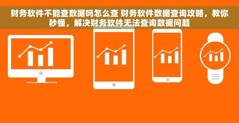财务软件不能查数据吗怎么查 财务软件数据查询攻略,教你秒懂,解决财务软件无法查询数据问题 财务软件不能查数据吗怎么查 财务软件数据查询攻略,教你秒懂,解决财务软件无法查询数据问题