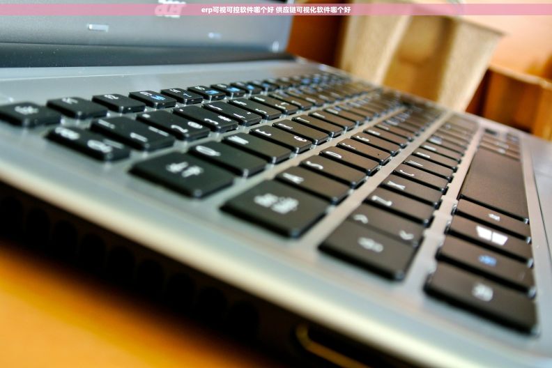 erp可视可控软件哪个好 供应链可视化软件哪个好