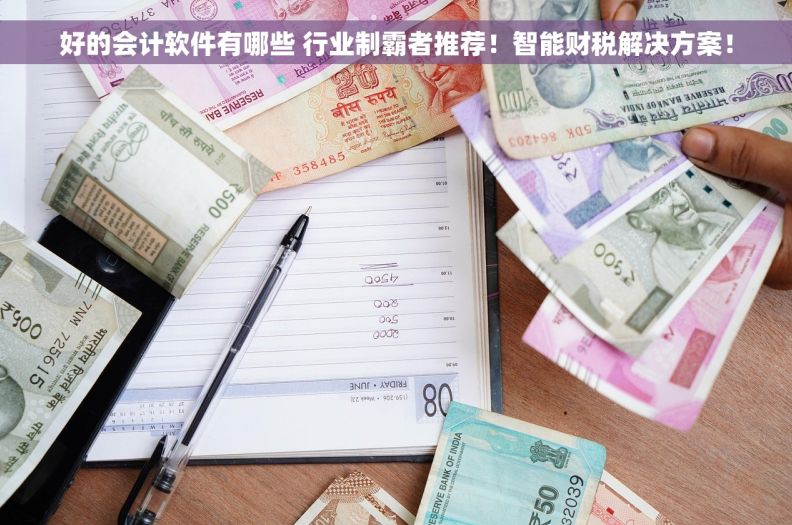 好的会计软件有哪些 行业制霸者推荐！智能财税解决方案！