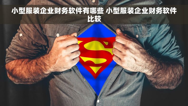 小型服装企业财务软件有哪些 小型服装企业财务软件比较