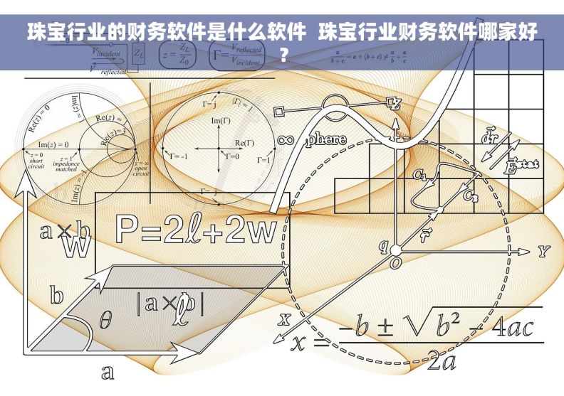 珠宝行业的财务软件是什么软件  珠宝行业财务软件哪家好？