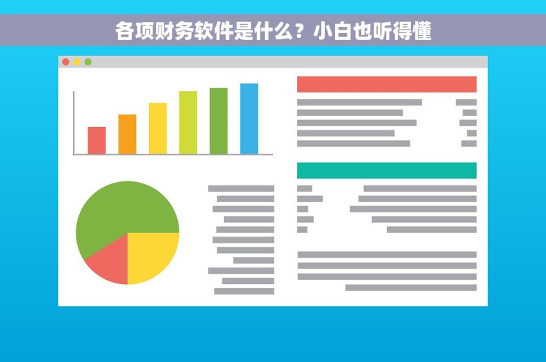 各项财务软件是什么?小白也听得懂 各项财务软件是什么?小白也听得懂