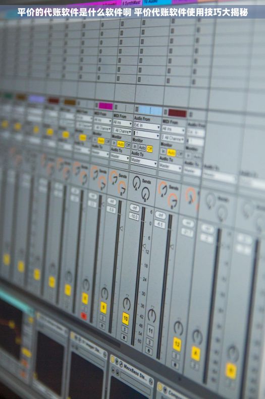 平价的代账软件是什么软件啊 平价代账软件使用技巧大揭秘 平价的代账软件是什么软件啊 平价代账软件使用技巧大揭秘
