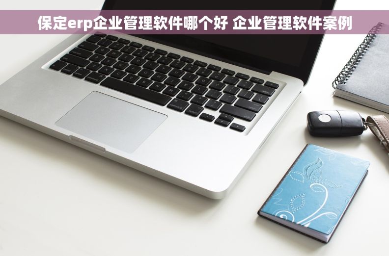 保定erp企业管理软件哪个好 企业管理软件案例 保定erp企业管理软件哪个好 企业管理软件案例