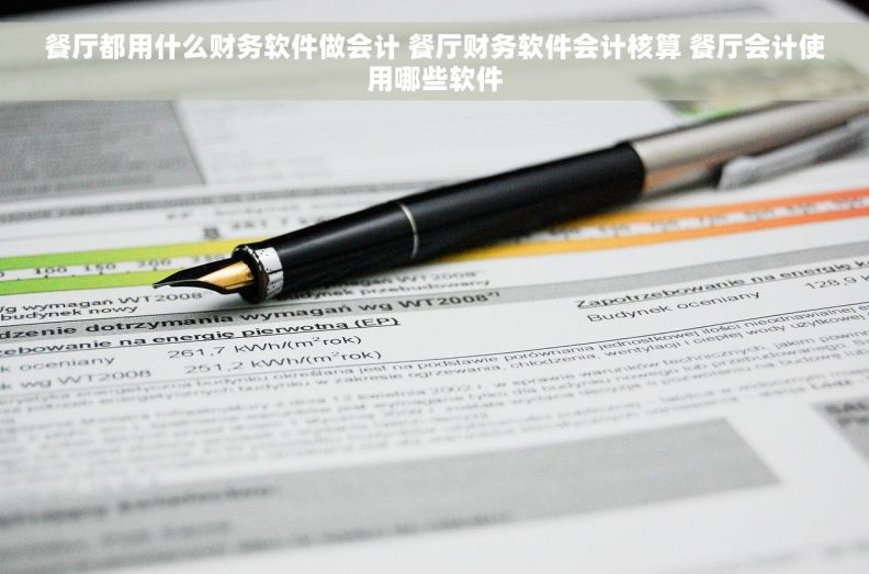 餐厅都用什么财务软件做会计 餐厅财务软件会计核算 餐厅会计使用哪些软件 餐厅都用什么财务软件做会计 餐厅财务软件会计核算 餐厅会计使用哪些软件