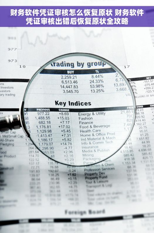 财务软件凭证审核怎么恢复原状 财务软件凭证审核出错后恢复原状全攻略