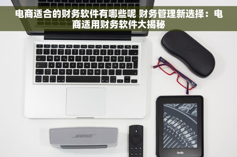 电商适合的财务软件有哪些呢 财务管理新选择:电商适用财务软件大揭秘 电商适合的财务软件有哪些呢 财务管理新选择:电商适用财务软件大揭秘