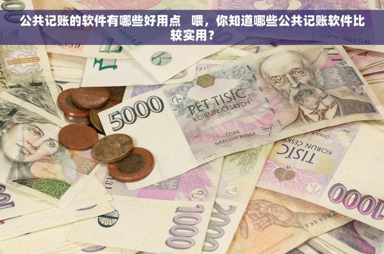 公共记账的软件有哪些好用点   喂,你知道哪些公共记账软件比较实用? 公共记账的软件有哪些好用点   喂,你知道哪些公共记账软件比较实用?