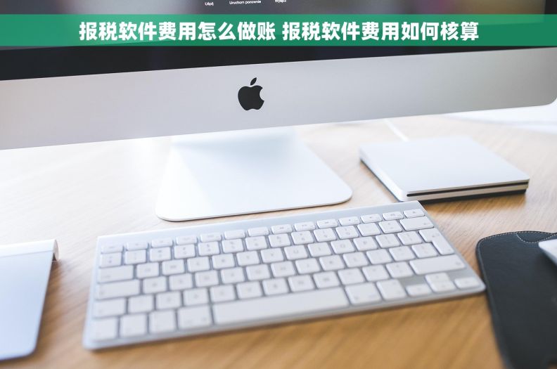 报税软件费用怎么做账 报税软件费用如何核算