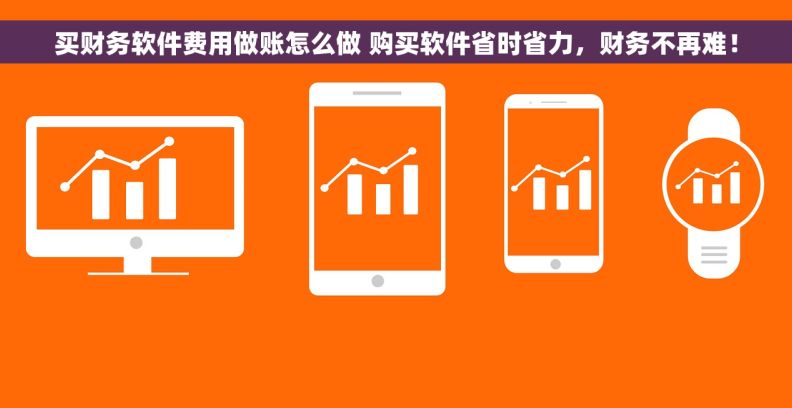 买财务软件费用做账怎么做 购买软件省时省力，财务不再难！