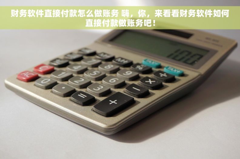 财务软件直接付款怎么做账务 嗨,你,来看看财务软件如何直接付款做账务吧! 财务软件直接付款怎么做账务 嗨,你,来看看财务软件如何直接付款做账务吧!