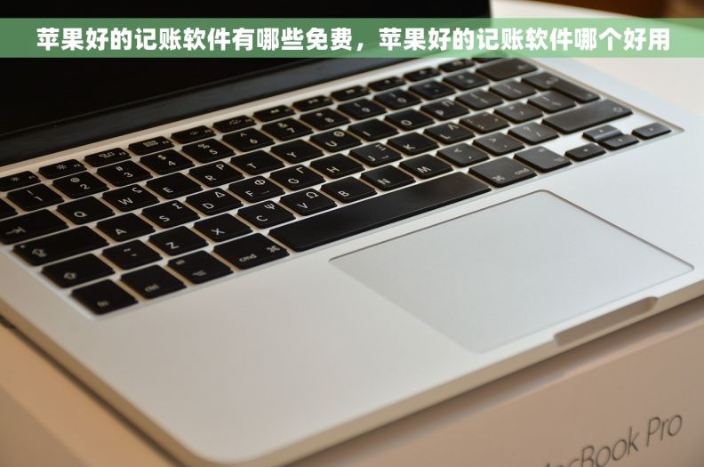 苹果好的记账软件有哪些免费，苹果好的记账软件哪个好用