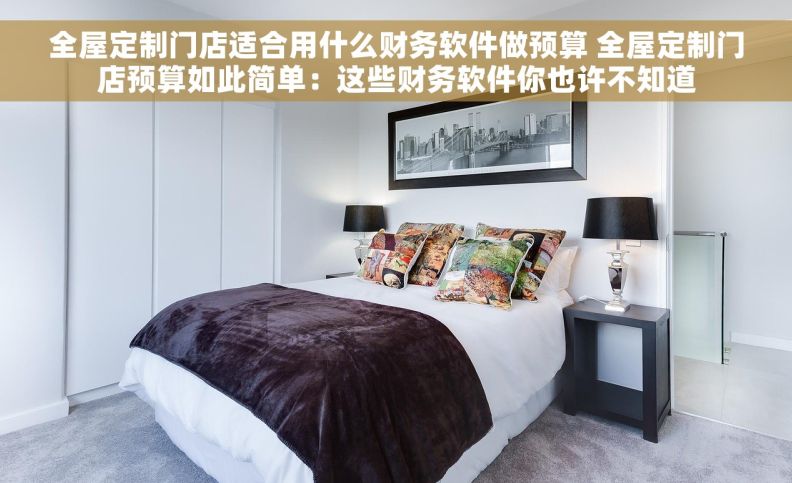 全屋定制门店适合用什么财务软件做预算 全屋定制门店预算如此简单：这些财务软件你也许不知道