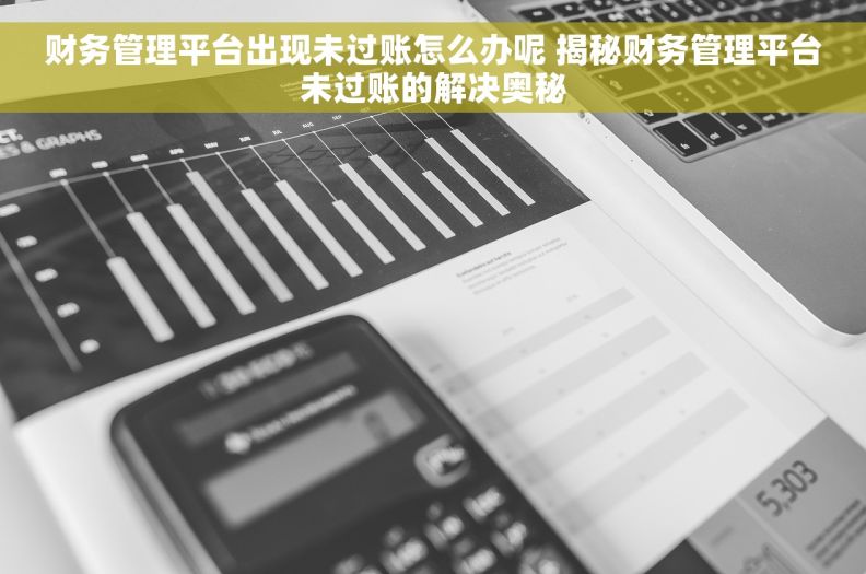 财务管理平台出现未过账怎么办呢 揭秘财务管理平台未过账的解决奥秘