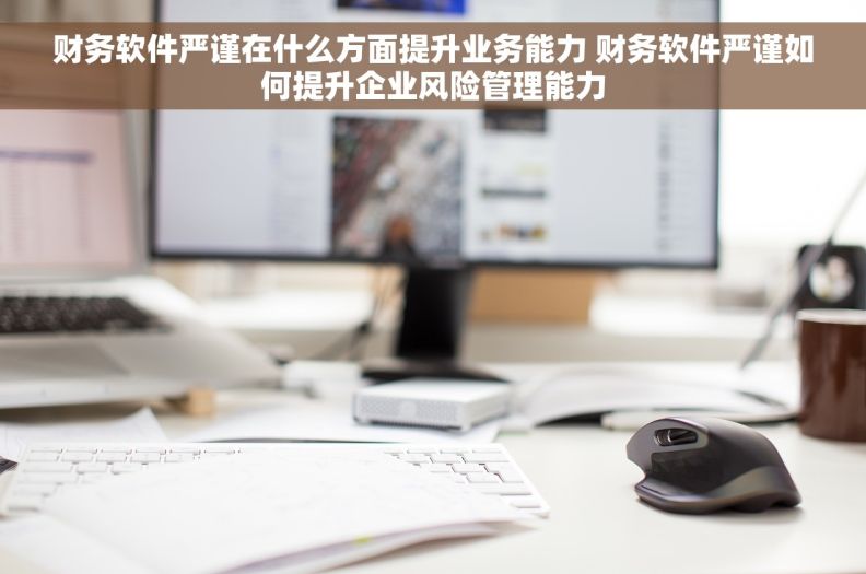 财务软件严谨在什么方面提升业务能力 财务软件严谨如何提升企业风险管理能力 财务软件严谨在什么方面提升业务能力 财务软件严谨如何提升企业风险管理能力