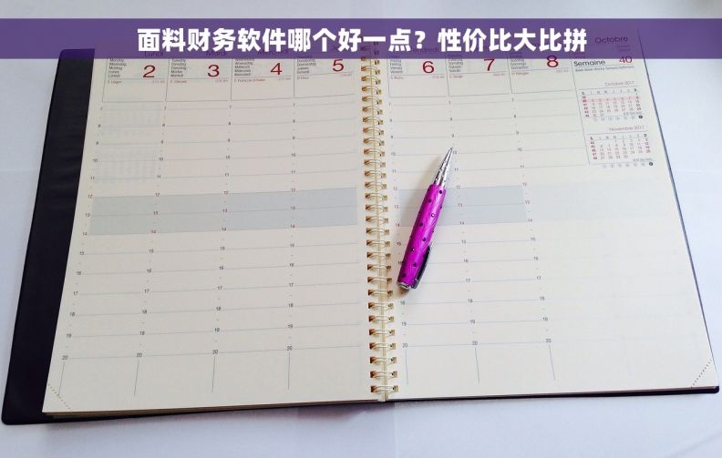 面料财务软件哪个好一点?性价比大比拼 面料财务软件哪个好一点?性价比大比拼