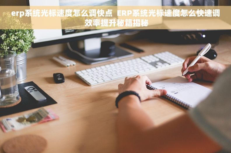 erp系统光标速度怎么调快点  ERP系统光标速度怎么快速调 效率提升秘籍揭秘