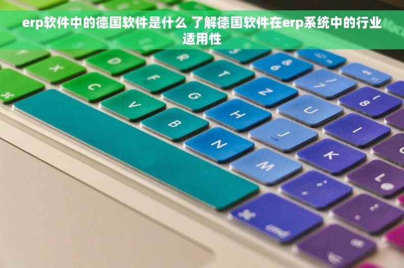 erp软件中的德国软件是什么 了解德国软件在erp系统中的行业适用性