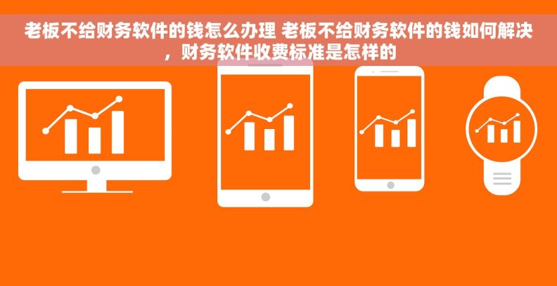 老板不给财务软件的钱怎么办理 老板不给财务软件的钱如何解决，财务软件收费标准是怎样的