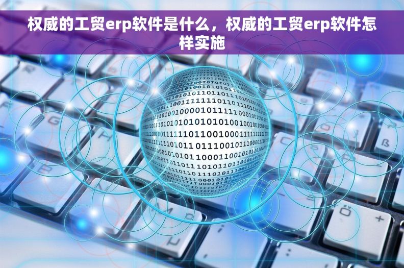 权威的工贸erp软件是什么,权威的工贸erp软件怎样实施 权威的工贸erp软件是什么,权威的工贸erp软件怎样实施