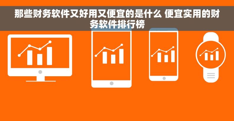那些财务软件又好用又便宜的是什么 便宜实用的财务软件排行榜 那些财务软件又好用又便宜的是什么 便宜实用的财务软件排行榜