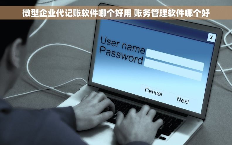 微型企业代记账软件哪个好用 账务管理软件哪个好
