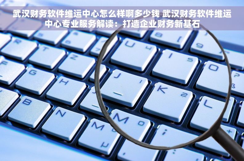 武汉财务软件维运中心怎么样啊多少钱 武汉财务软件维运中心专业服务解读：打造企业财务新基石