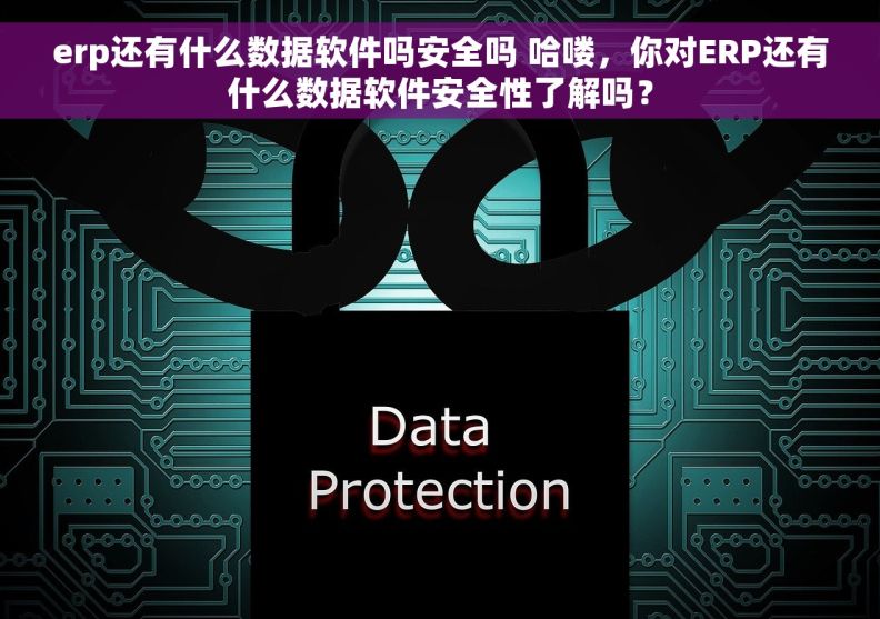 erp还有什么数据软件吗安全吗 哈喽，你对ERP还有什么数据软件安全性了解吗？