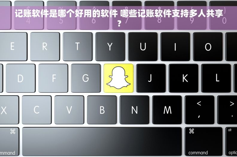 记账软件是哪个好用的软件 哪些记账软件支持多人共享? 记账软件是哪个好用的软件 哪些记账软件支持多人共享?