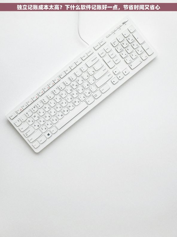 独立记账成本太高？下什么软件记账好一点，节省时间又省心