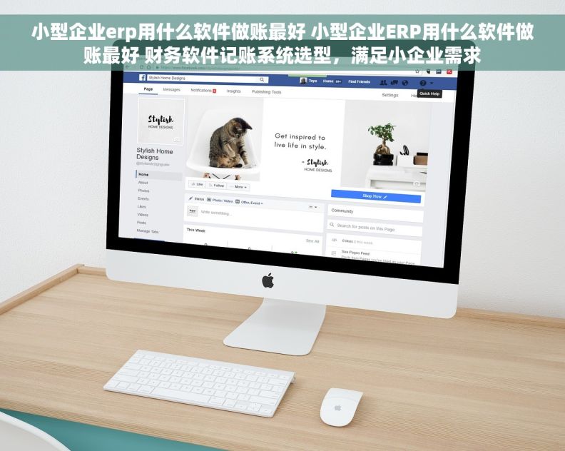 小型企业erp用什么软件做账最好 小型企业ERP用什么软件做账最好 财务软件记账系统选型，满足小企业需求