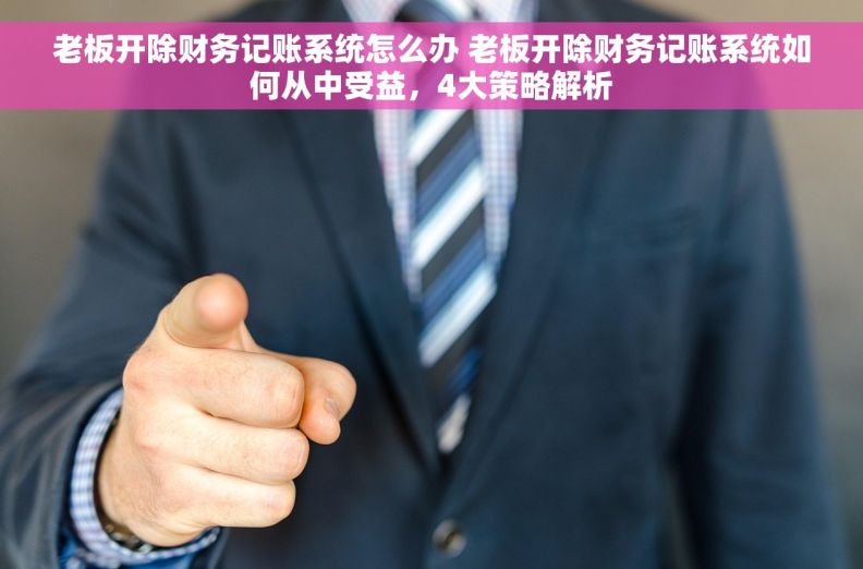 老板开除财务记账系统怎么办 老板开除财务记账系统如何从中受益,4大策略解析 老板开除财务记账系统怎么办 老板开除财务记账系统如何从中受益,4大策略解析