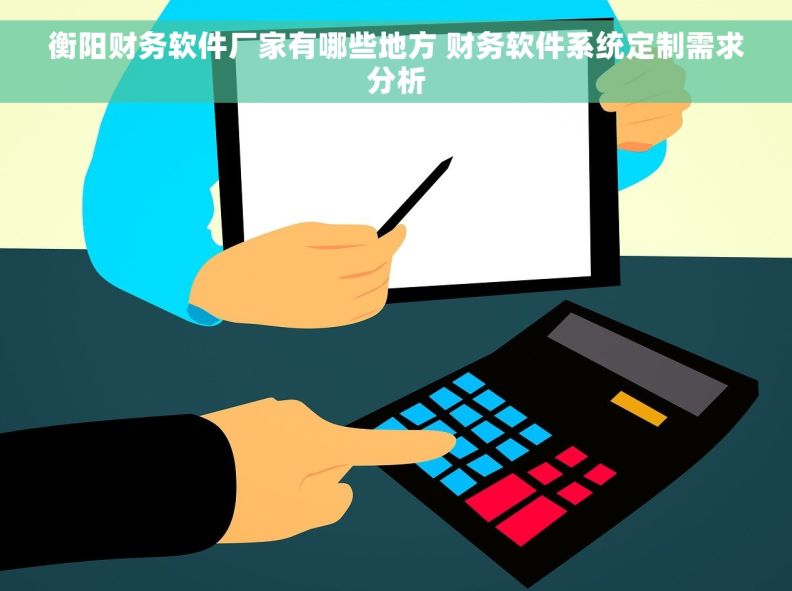 衡阳财务软件厂家有哪些地方 财务软件系统定制需求分析