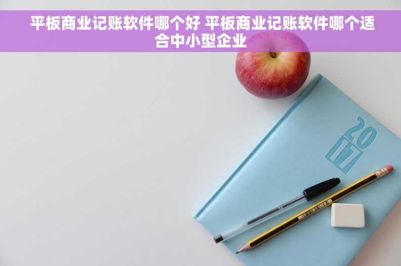 平板商业记账软件哪个好 平板商业记账软件哪个适合中小型企业 平板商业记账软件哪个好 平板商业记账软件哪个适合中小型企业