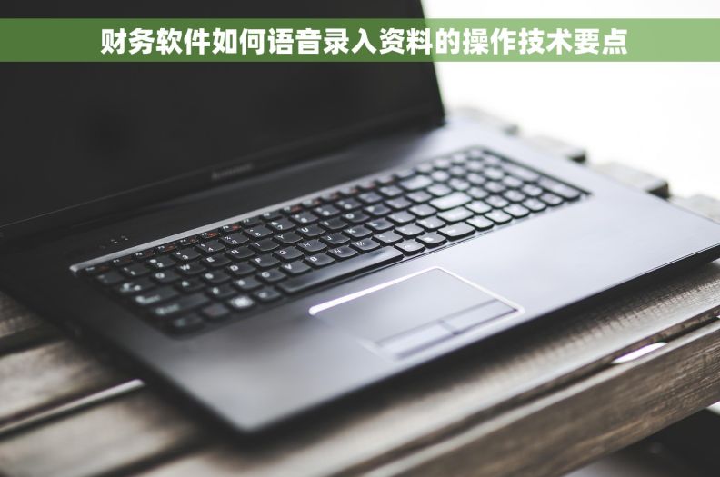  财务软件如何语音录入资料的操作技术要点