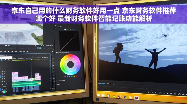 京东自己用的什么财务软件好用一点 京东财务软件推荐哪个好 最新财务软件智能记账功能解析