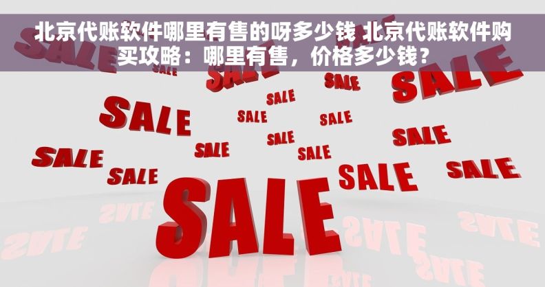 北京代账软件哪里有售的呀多少钱 北京代账软件购买攻略：哪里有售，价格多少钱？