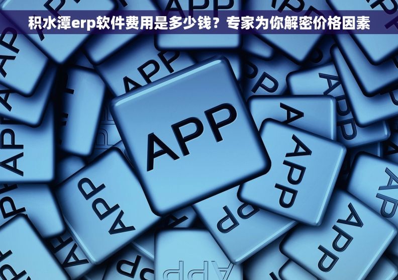 积水潭erp软件费用是多少钱？专家为你解密价格因素