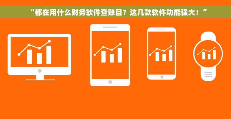 “都在用什么财务软件查账目？这几款软件功能强大！”