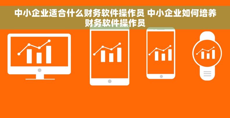 中小企业适合什么财务软件操作员 中小企业如何培养财务软件操作员