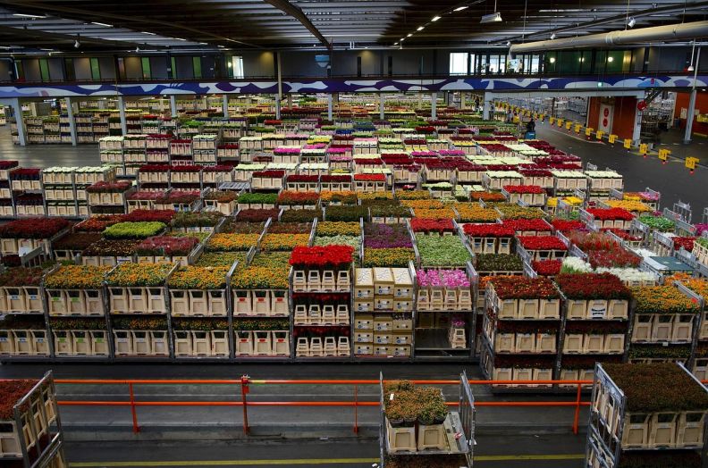 库房出入库用什么软件好用呢 库房出入库软件哪个好用 库房出入库管理系统2021最新发布 物流库房出入库管理利器